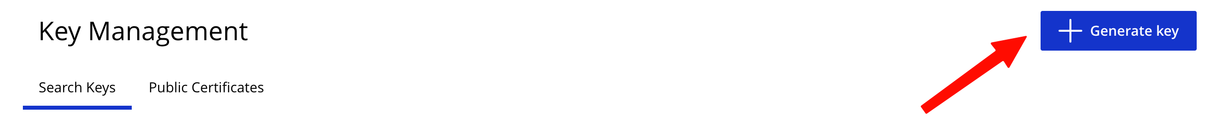 Screenshot: Generate and save the new REST API key: Click + Generate key