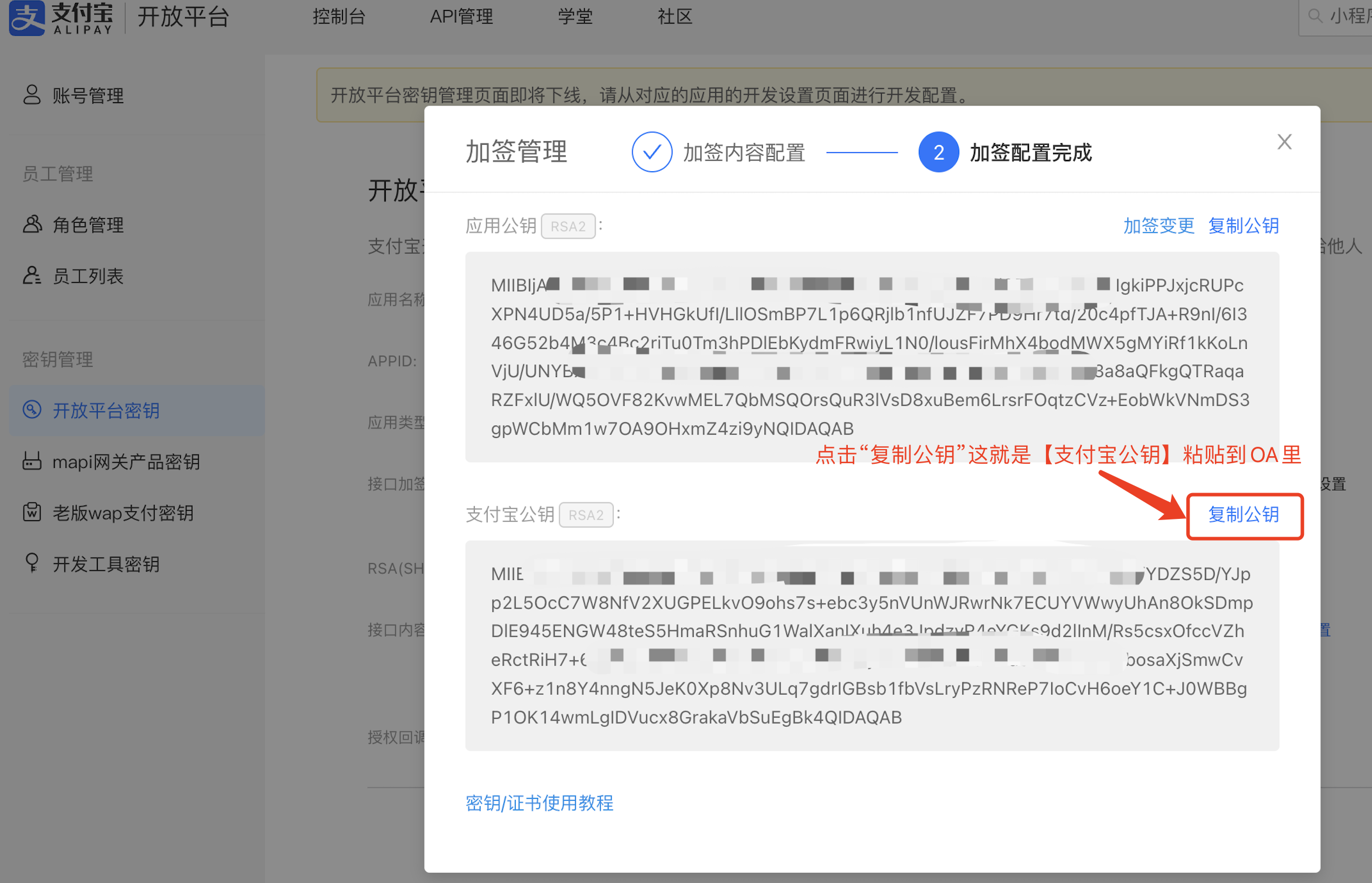 Captura de pantalla: F. La herramienta generará una clave pública para usted, y puede hacer clic en 复制公钥 para copiarla y pegarla en su OpenApply.