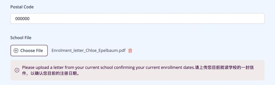 Screenshot: School File upload field with a file attached